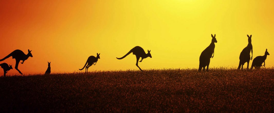 “Nothing Like Australia”‘s new commercial: What do you think?