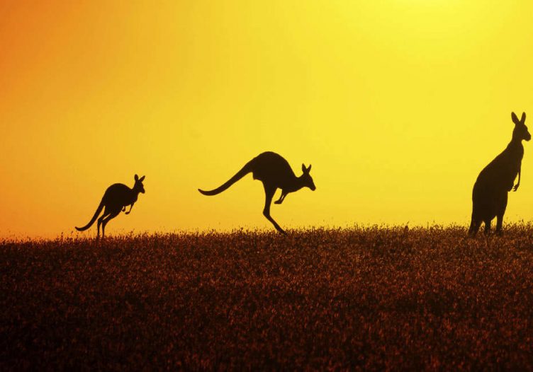 “Nothing Like Australia”‘s new commercial: What do you think?