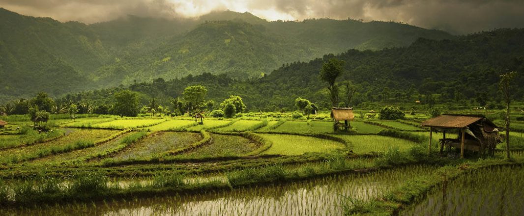 Bangkok’s pain is Bali’s gain