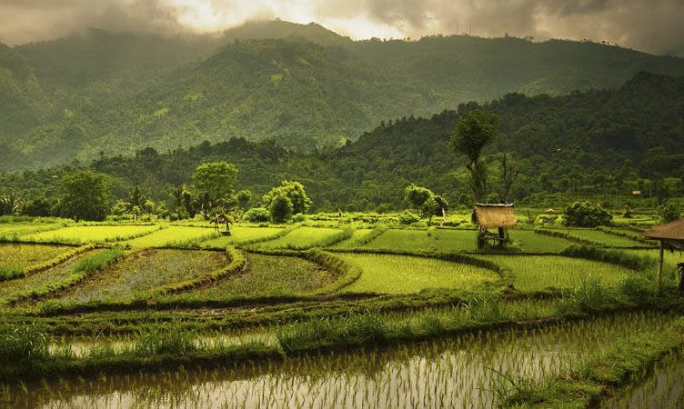 Bangkok’s pain is Bali’s gain