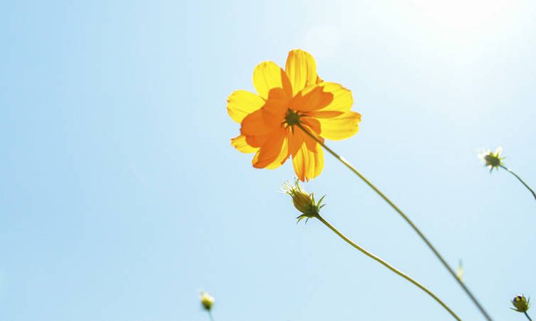 There’s nothing like simplicity