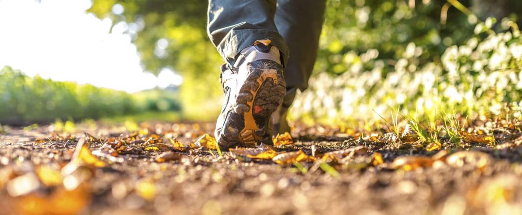 Find your path as you walk, says Chong