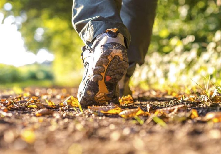 Find your path as you walk, says Chong