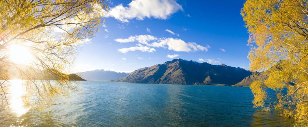 New Zealand unplugged