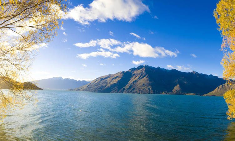 New Zealand unplugged