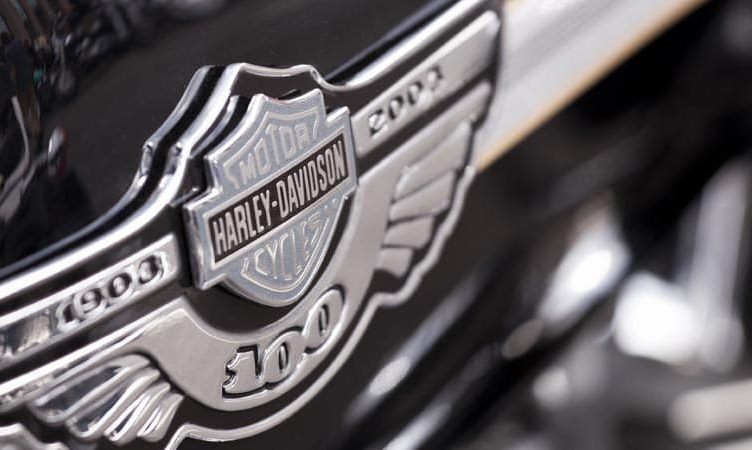 Hang on tight, we’re going for a Harley ride