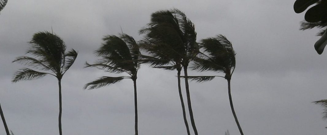 Hurricane Paula pays us a visit