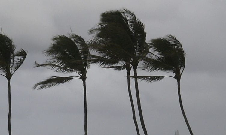 Hurricane Paula pays us a visit