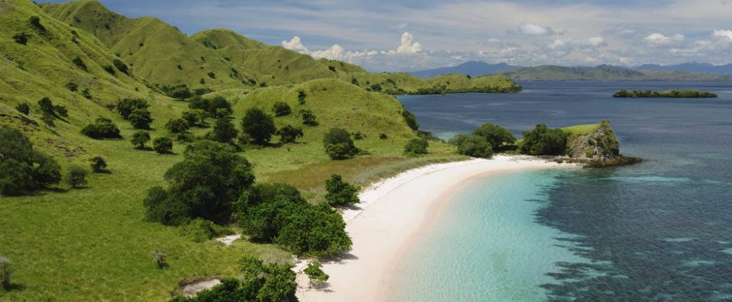 Travel bookings to Indonesia growing rapidly