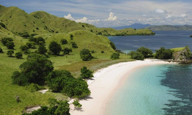 Travel bookings to Indonesia growing rapidly