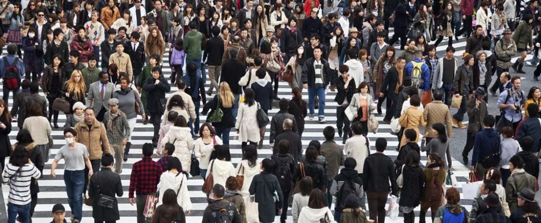 Direct and social will drive Japan in 2011: Shibata