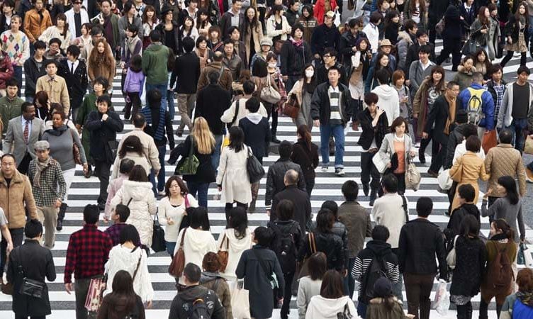 Direct and social will drive Japan in 2011: Shibata