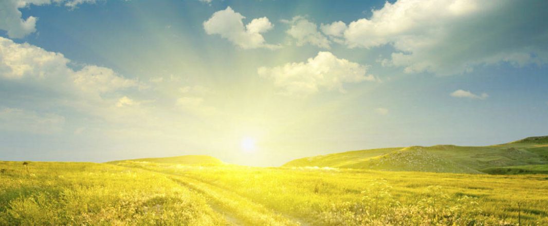 Hotels: Predictions & Reflections, Part 2