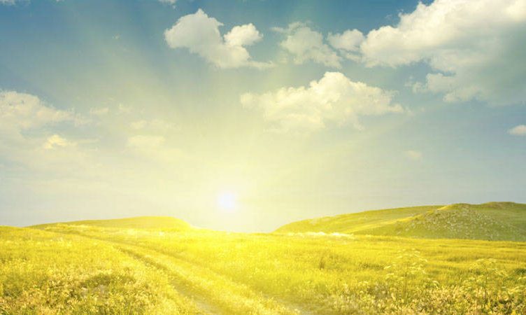 Hotels: Predictions & Reflections, Part 2