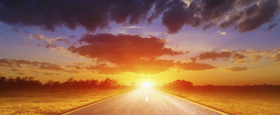 From Tane Mahuta to Eiffel: What lies ahead in 2011