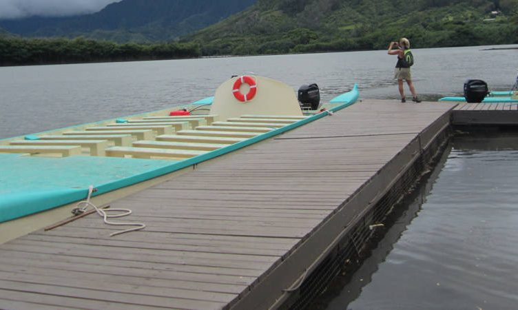 Asia Web Direct wants travellers to explore, dream and discover