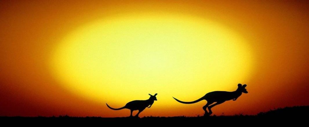 Hold the date: WIT heads to Sydney June 21