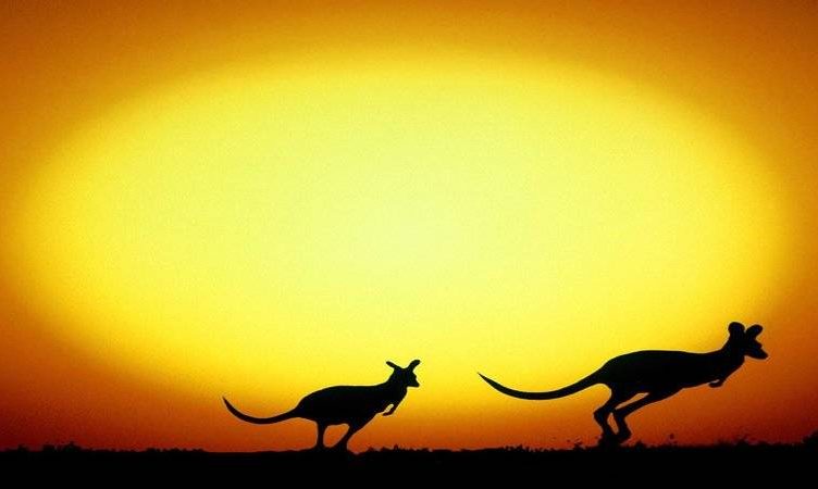 Hold the date: WIT heads to Sydney June 21