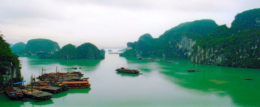 Vietnam’s online travel poised for growth, says Buffalo Tours’ Kien