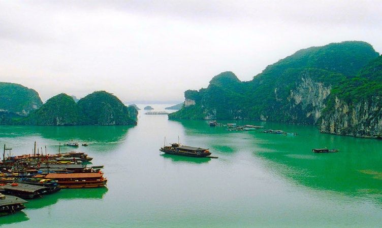 Vietnam’s online travel poised for growth, says Buffalo Tours’ Kien