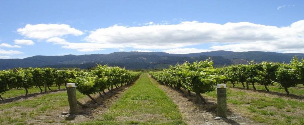 Lost in the silence of the Sounds of Marlborough