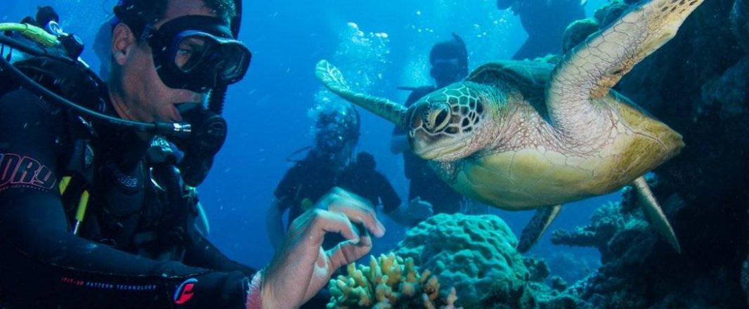 WIT Australia: Forget food, sell space, romance and you’ll be right, mate