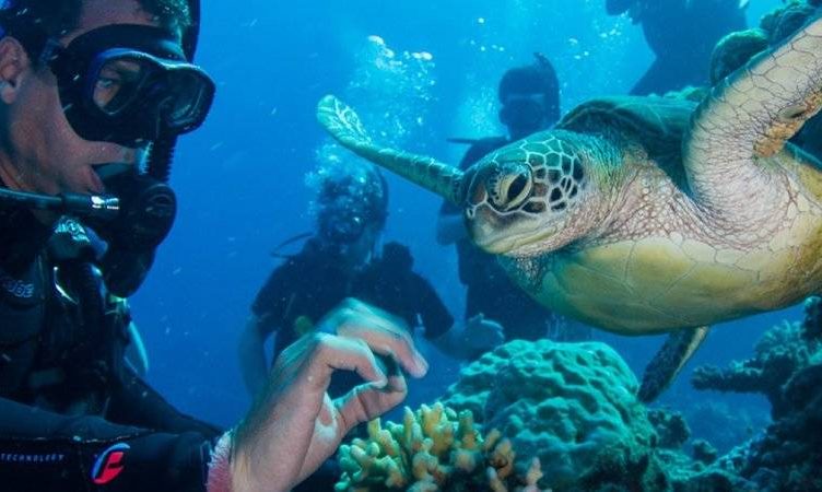 WIT Australia: Forget food, sell space, romance and you’ll be right, mate