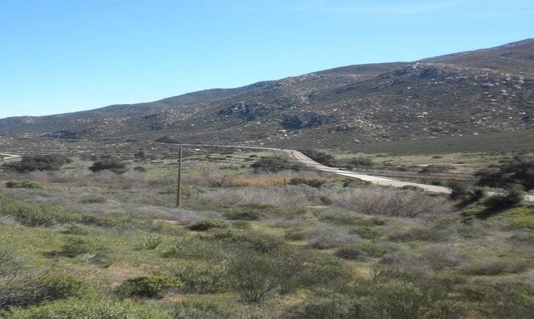 Hog-ging HWY 94