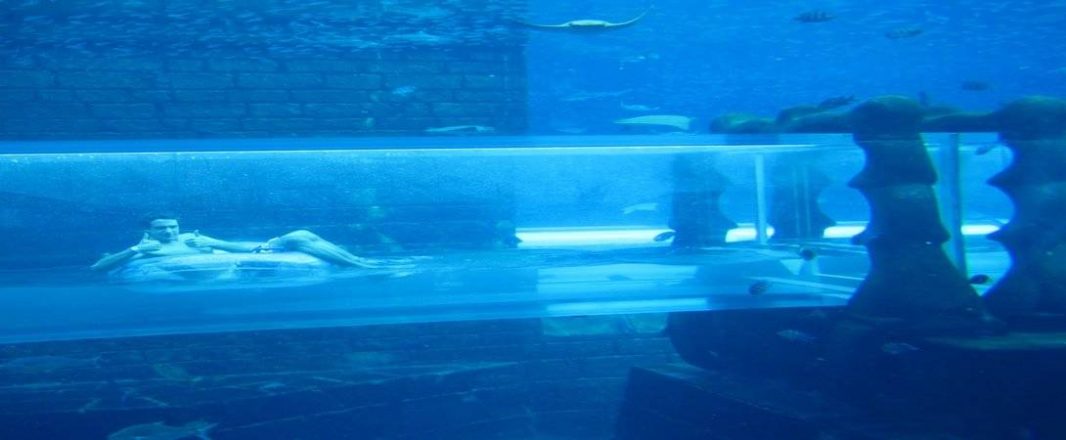 Atlantis, The Palm takes waterparks mobile