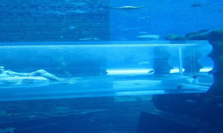 Atlantis, The Palm takes waterparks mobile