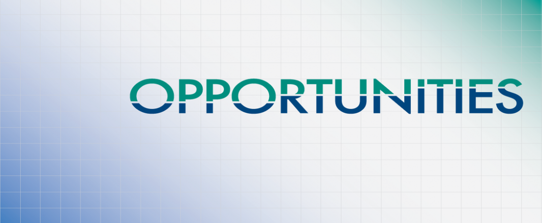 India, Indonesia – lands of opportunities for online travel