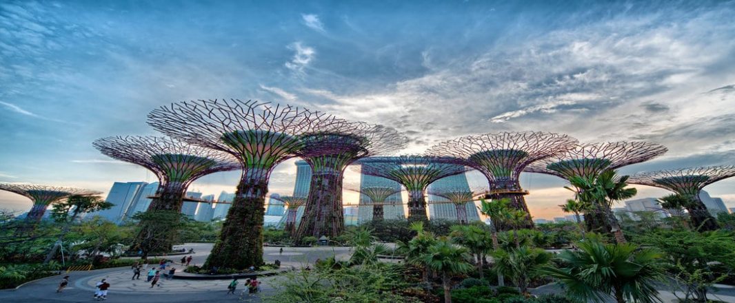 Five tours & activities operators announced as booking partners for Singapore’s domestic tourism campaign