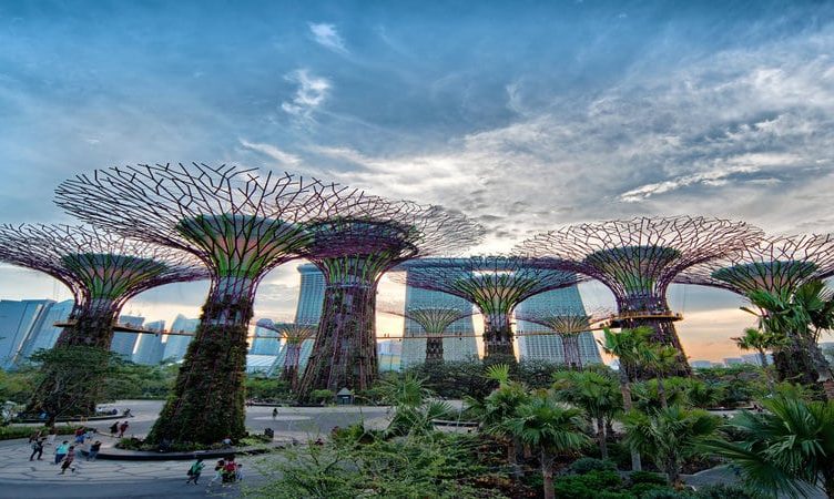 Five tours & activities operators announced as booking partners for Singapore’s domestic tourism campaign