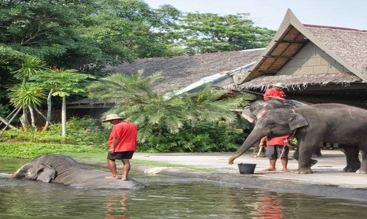 Rose Garden’s journey to Sampran Riverside: A travel story
