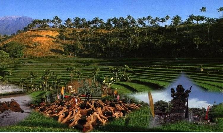 Burufly packs curated content and social sharing to fly in Indonesia