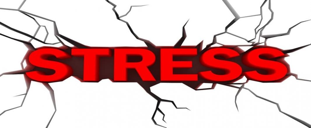 You feeling stressed? Take the Travel Stress Index test