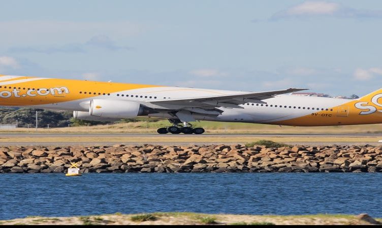 Cheap and cheerful’s working so far for Scoot