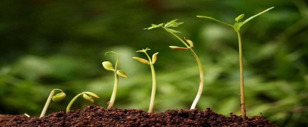 Global line-up of start-ups make pitches to investors at WIT