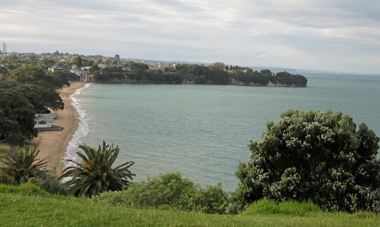 Letter from Auckland: If you are hungry for innovation, read on