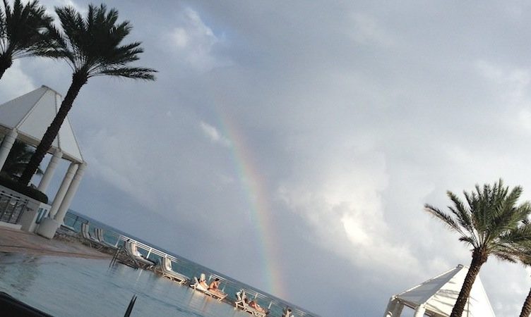 A week of dramas, online talk and rainbows