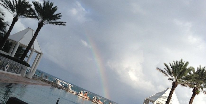 A week of dramas, online talk and rainbows