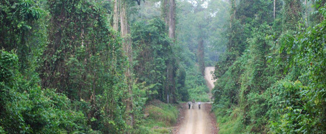 Malaysia playing pivotal role in promoting intra-ASEAN tourism