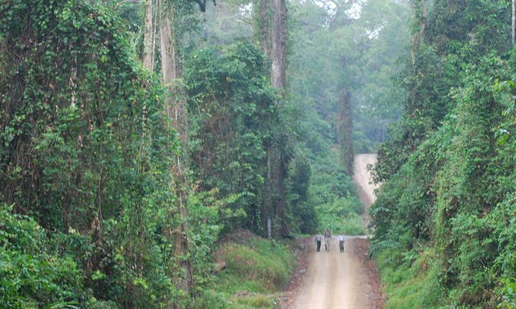 Malaysia playing pivotal role in promoting intra-ASEAN tourism