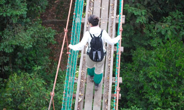 The Wrap: AirAsia X spends US$6 billion on 25 Airbus A330-300s