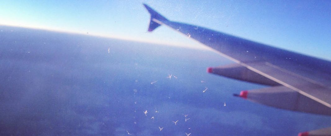 TripAdvisor’s new Flight Search aims to make the inflight experience transparent
