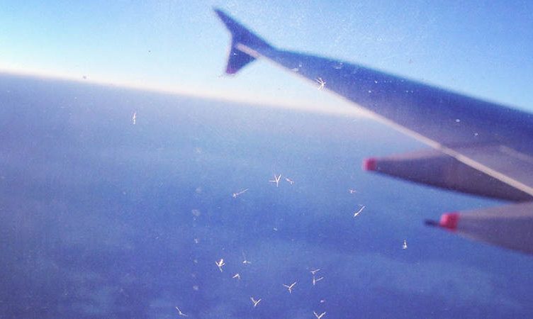 TripAdvisor’s new Flight Search aims to make the inflight experience transparent