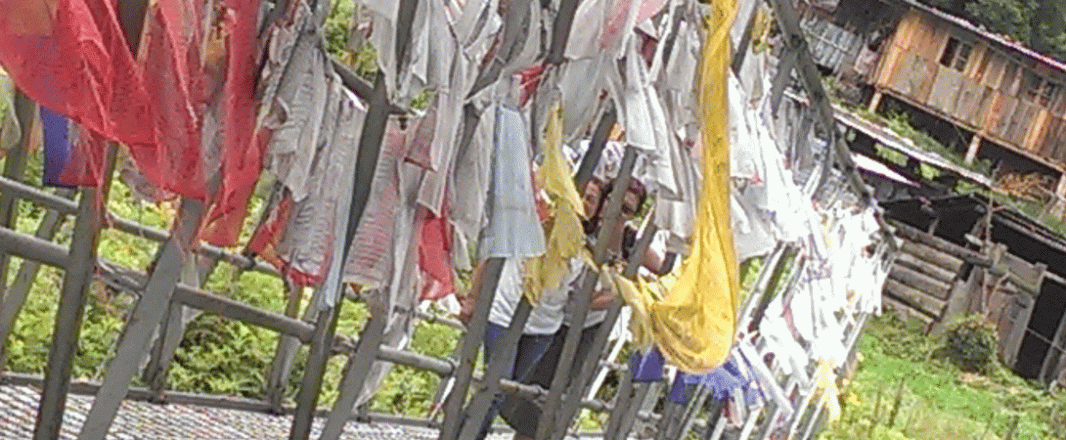 Letter from Bhutan, Pt 2: Of dogs, horse heads, phalluses and cordyceps