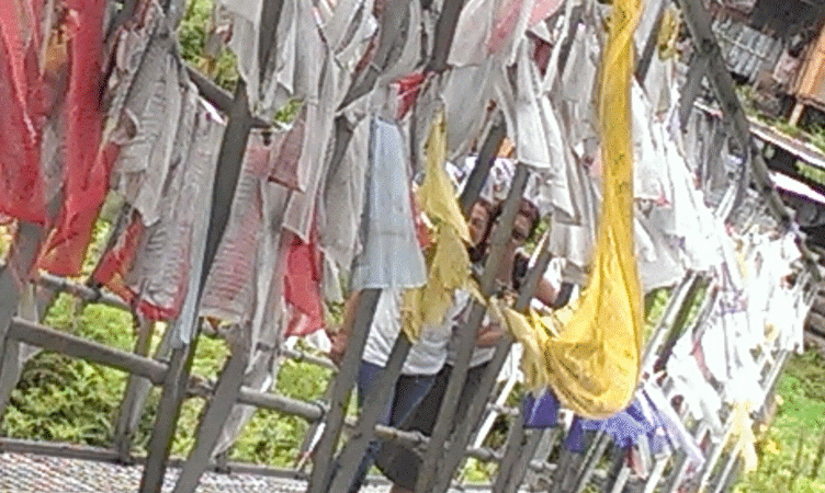 Letter from Bhutan, Pt 2: Of dogs, horse heads, phalluses and cordyceps