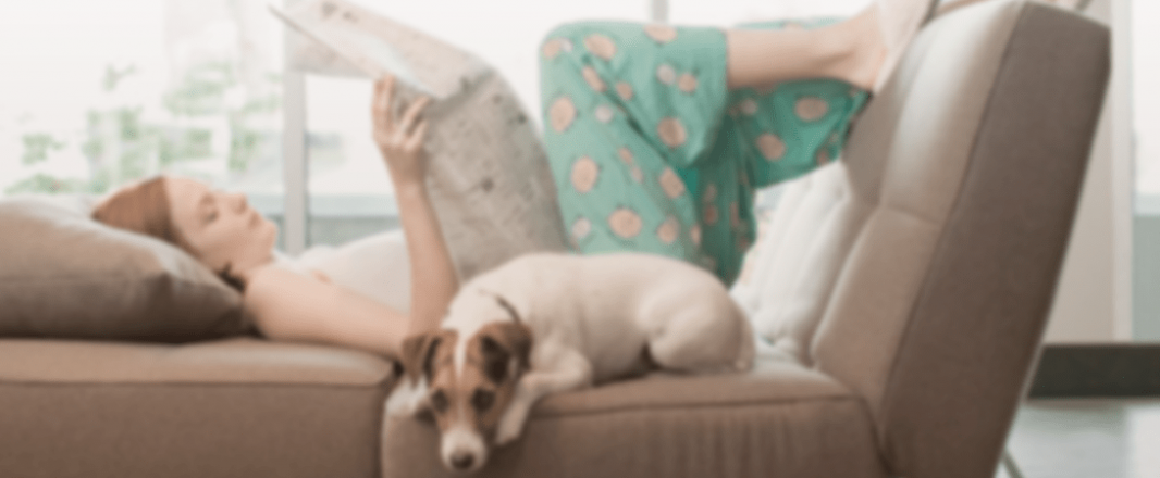 Lodgify to empower vacation rental owners in Asia and Europe