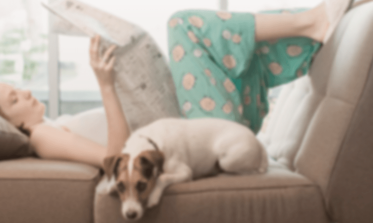 Lodgify to empower vacation rental owners in Asia and Europe